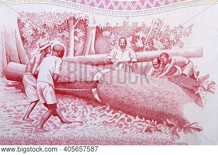 Lumberers From Old Ghanaian Money - Cedi