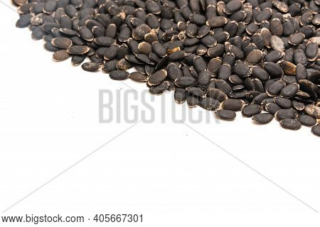 Spreading Of Luffa Or Loofah, Luffa Aegyptiaca Seeds With Copy Space Isolated On White Background