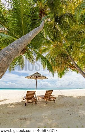 Tropical Beach Background As Summer Landscape With Lounge Chairs And Palm Trees And Calm Sea For Bea