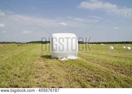 Pictured Hay Bale Wrapped In Plastic On The Summer Dayg