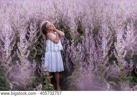 Close-up Portraits Of A Little Girl With Long Flowing Hair In Blooming Pink Sage Field. Dreamer Blon