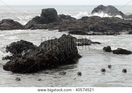 Uszczelnienia portu