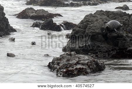 Uszczelnienia portu