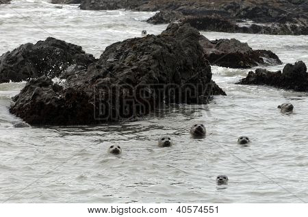 Uszczelnienia portu