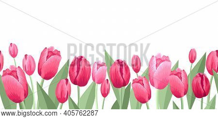 Seamless Border Of Tulips Flawers. Vector Illustration, Background, Pattern, Print For Packaging Pap
