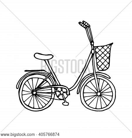 Hand Drawn Vector Ladys City Bike With Basket