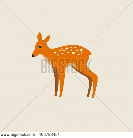 Little Deer, Fawn. Character Isolated Vector Illustration