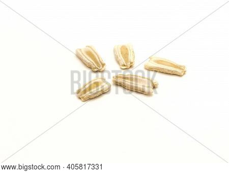 Five Opo Gourd Or Calabash Squash Seeds Isolated On White Background