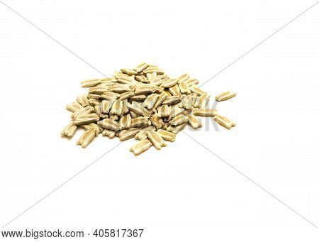 Top View Group Of Opo Gourd Or Calabash Squash Seeds Isolated On White Background