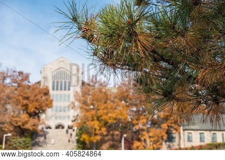 Seoul, South Korea - 27 November 2019: Ewha Womans University In Autumn. It Is A Private Women's Uni