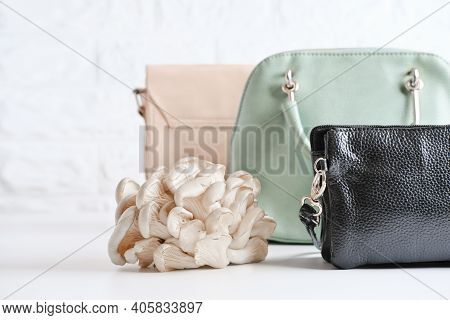 Handbags Made Of Mycelium Leather, Bio Based Sustainable Alternative To Leather Made Of Mushroom Spo