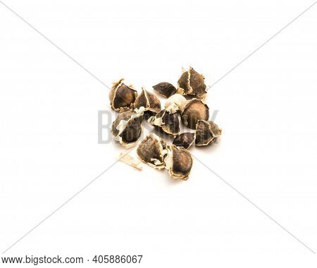 Unpeeled And Kernel Of Moringa Or Drumstick, Benzolive Seeds Isolated On White Background