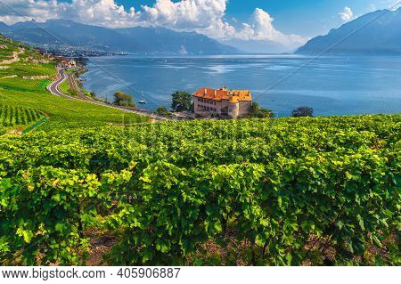 Picturesque Slopes With Vineyards On The Shore Of The Lake Geneva, Rivaz, Canton Of Vaud, Switzerlan