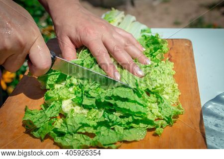 A Woman Chops The Juicy Green Leaves Of Fresh Napa Cabbage Or Peking Cabbage With A Knife. Cooking H