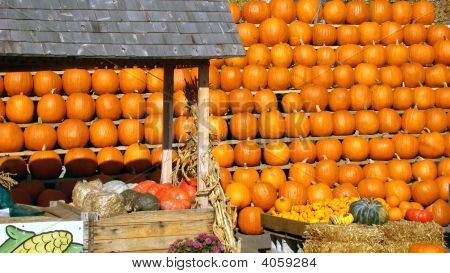 Pumkins