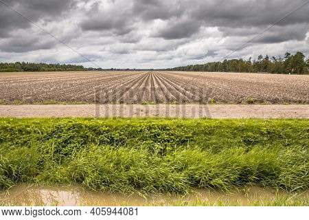 Landscape View Of Arable Land Farmland After Harvesting The Crops. Bant, Flevoland Province, The Net