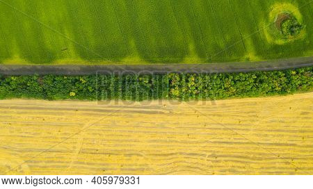 Rolls Of Haystacks On The Field After Harvest And Green Corn Fields. Large Wheaten Field With Cylind