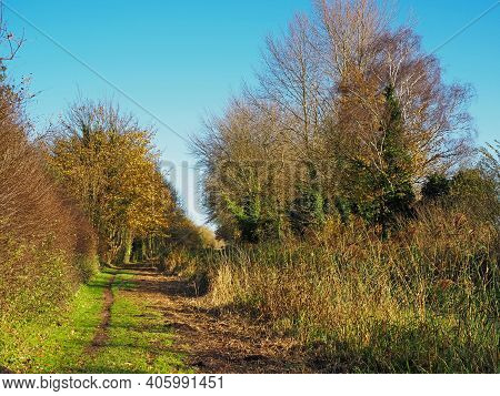 Winter Sunlight And A Clear Blue Sky Above Trees And Hedges Beside A Grassy Footpath Near Pocklingto