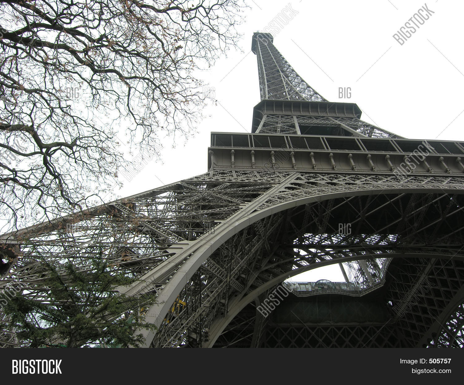 Image Preview
