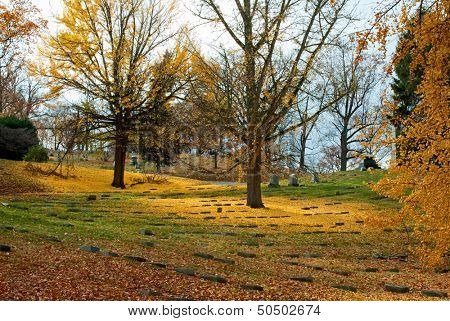 Golden Autumn Day in Cemetery