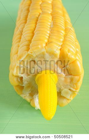 Corn On The Cob