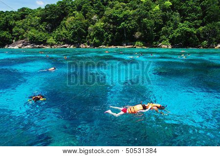 People Swimming And Snorkeling At Tachai Island In Thailand