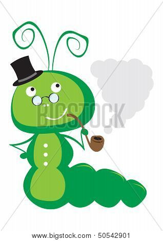 Caterpillar vector illustration
