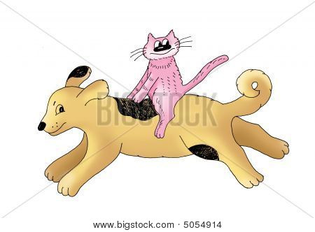 Gatto e cane.