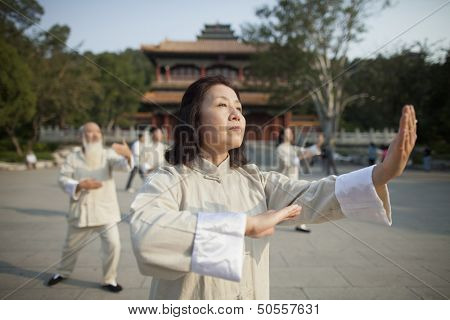 Chinese Practicing Tai Ji