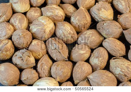 Hazelnuts without shells-background