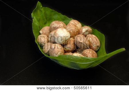 Hazelnut concept