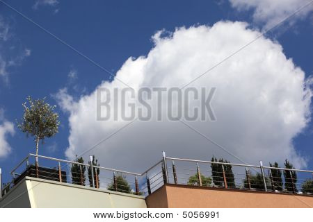 Mladý strom na střeše obchodního domu - horizontální