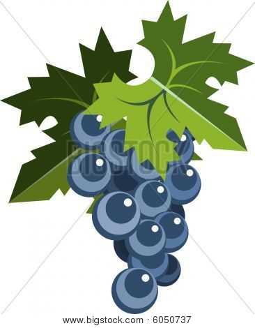 Grappolo d'uva con foglie