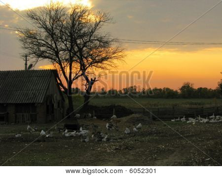 Kırsal