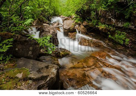 Clear Spring In Freen Forest