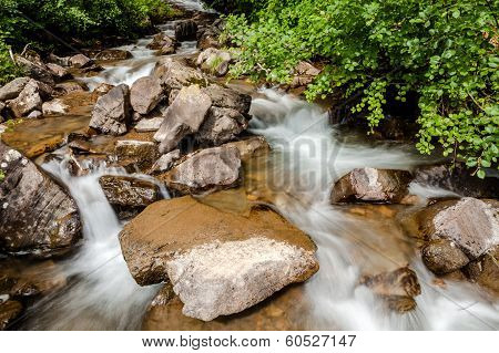 Clear Spring In Freen Forest