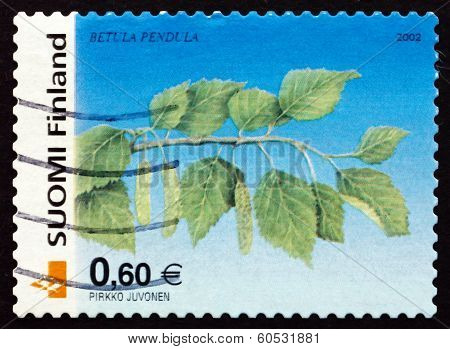 Postage Stamp Finland 2002 Silver Birch, Tree