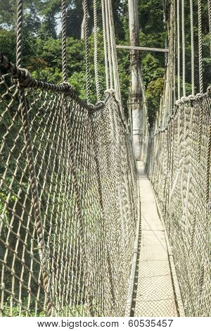 Canopy Walkway In Kakum National Park, Ghana