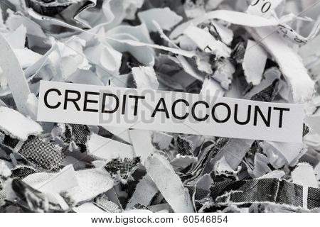 shredded paper tagged with credit account, symbolic photo for data destruction, finance and credit