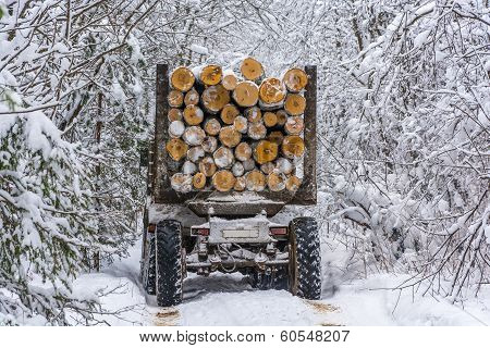 A truck driver.
