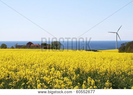 windmill