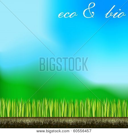 Grass Sky Root Land Eco Bio Background