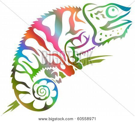 chameleon