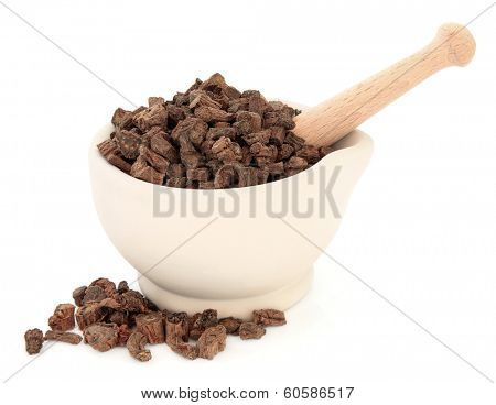 Red sage root chinese herbal medicine in a stone mortar with pestle over white background. Dan shen.