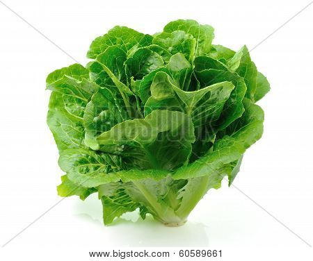 Cos Isolated On White Background