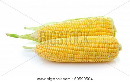Corn Isolated On White Background