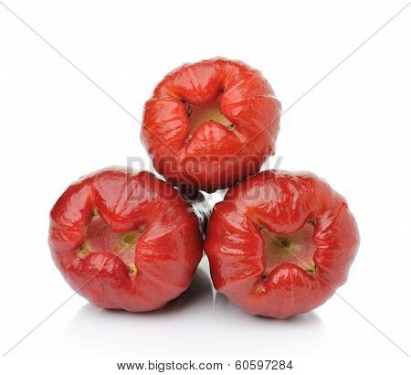 red roseapple isolated on over white background