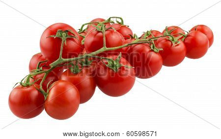 Cherry Tomatoes On The Branch