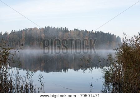 Misty Morning At The Lake In Country