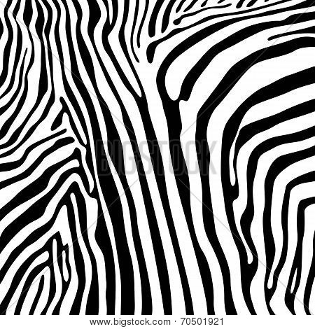 savannah pattern vector background design elements zebra